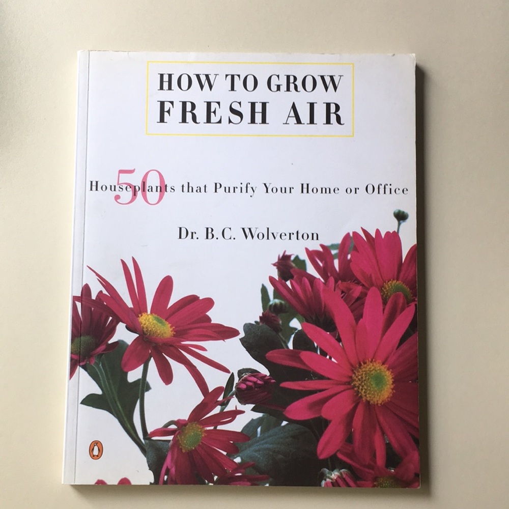 How to Grow Fresh Air